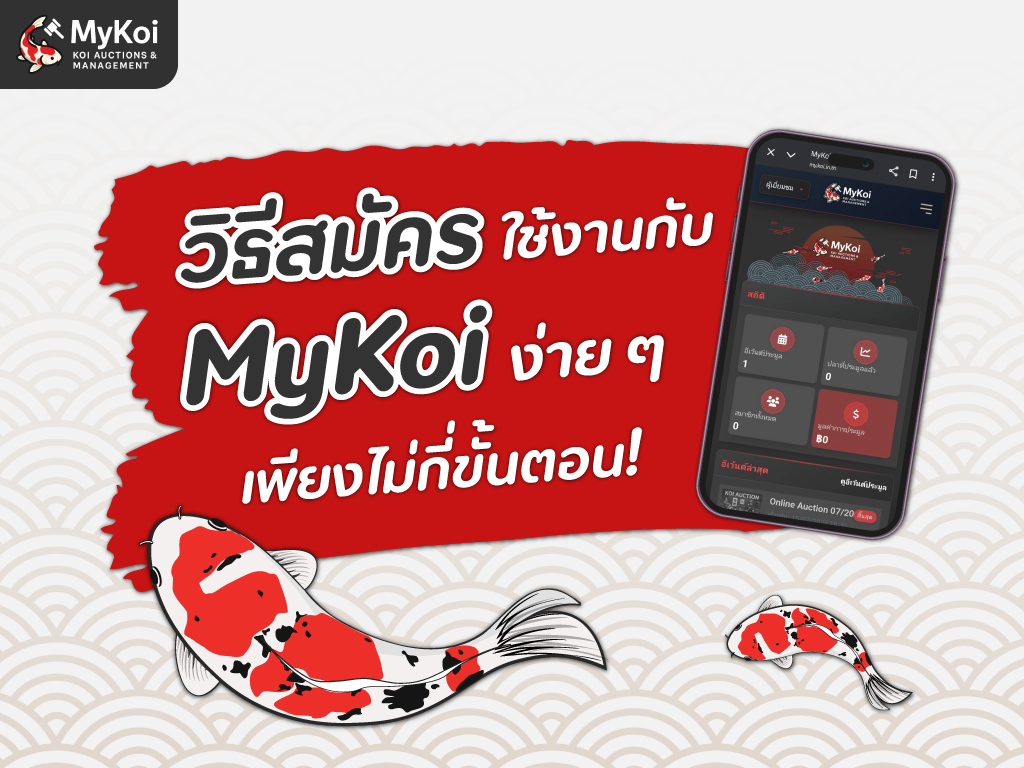 วิธีสมัครใช้งานกับ MyKoi ง่าย ๆ เพียงไม่กี่ขั้นตอน