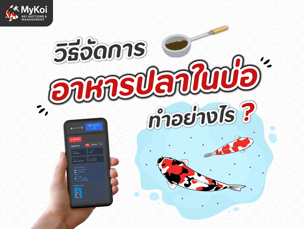 วิธีจัดการอาหาร ทำอย่างไร ? 